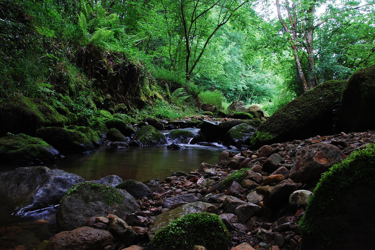 camino del norte compostelle