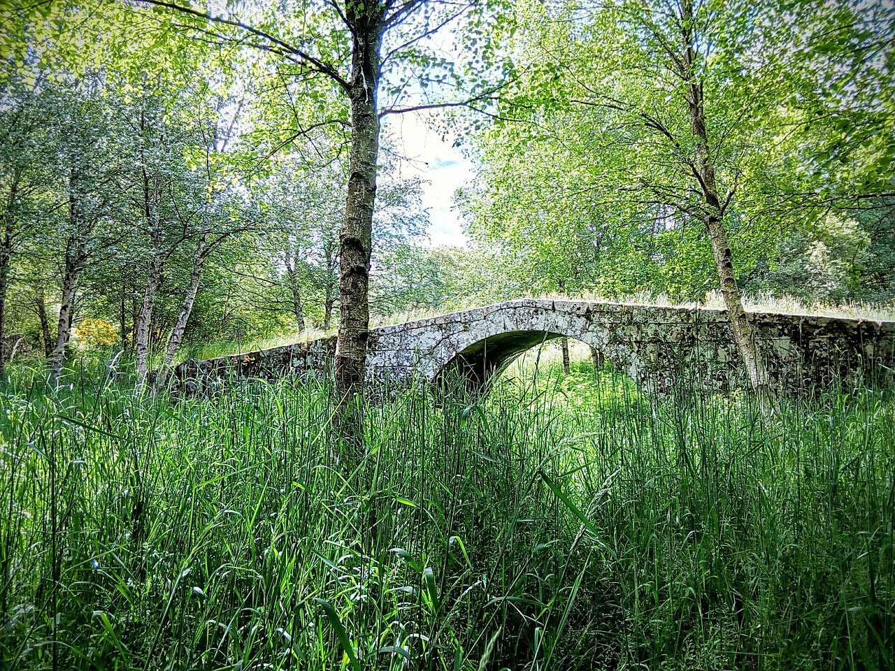chemin primitif st jacques