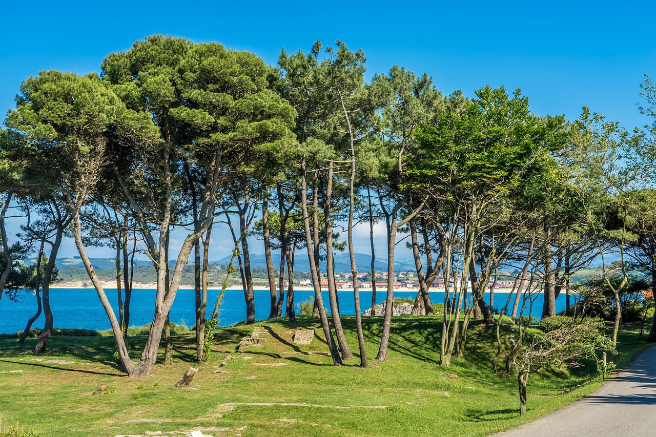 camino del norte compostelle